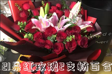 焦作博爱县花店